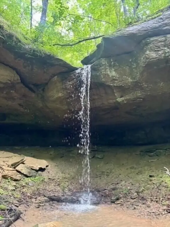Picture 14