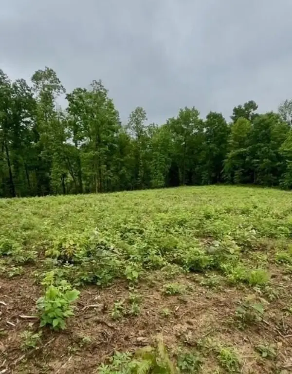 Picture 8