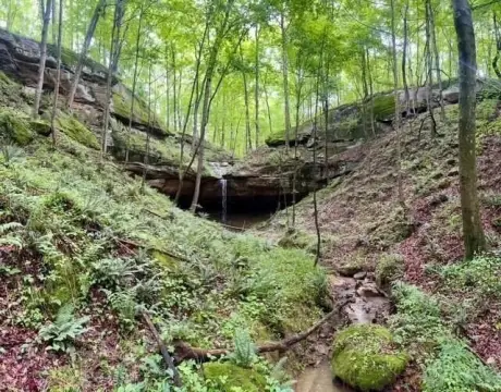 Recreation Land With Waterfalls