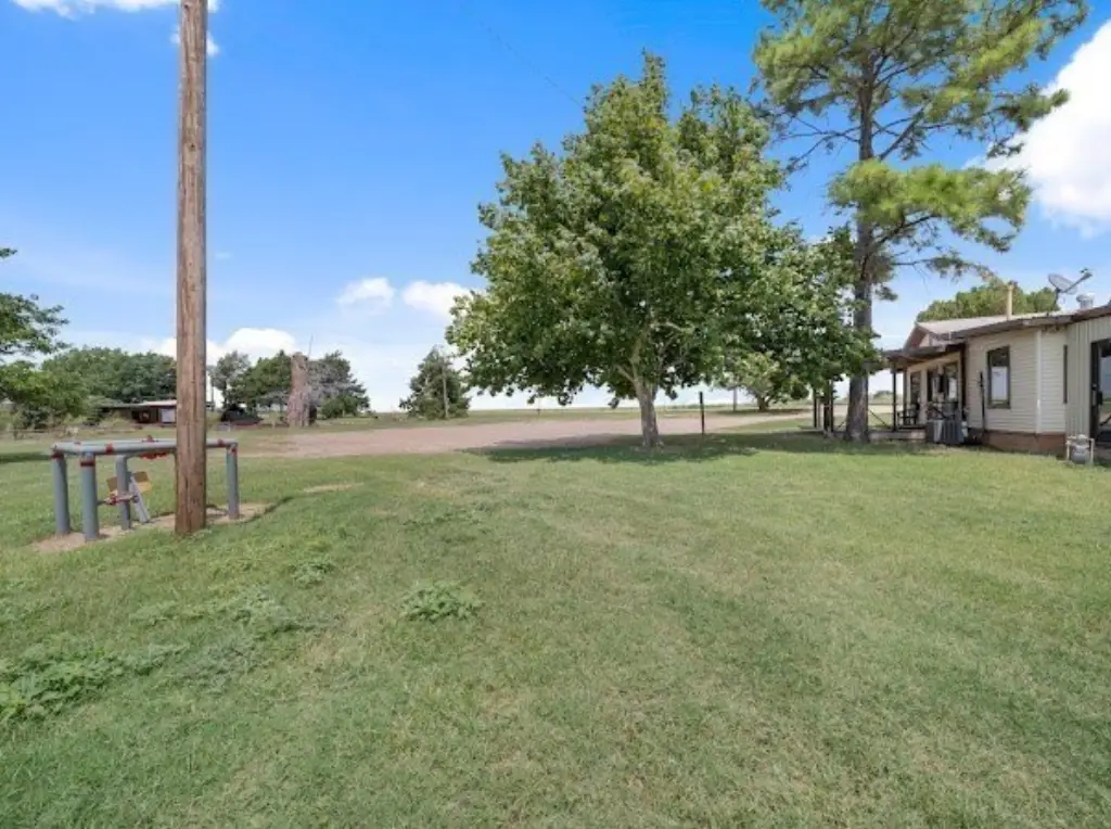 Picture 6