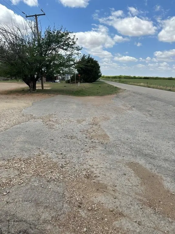 Picture 24