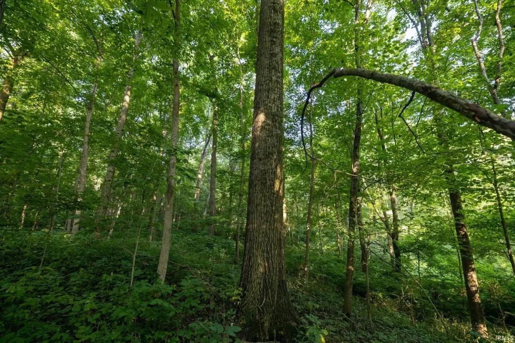 Picture 23