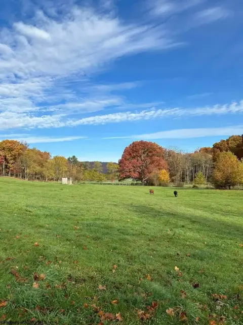 Huttonsville Land with Scenic Views