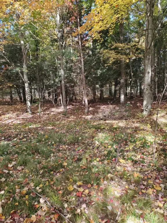 Picture 45