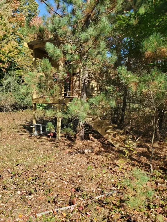 Picture 39
