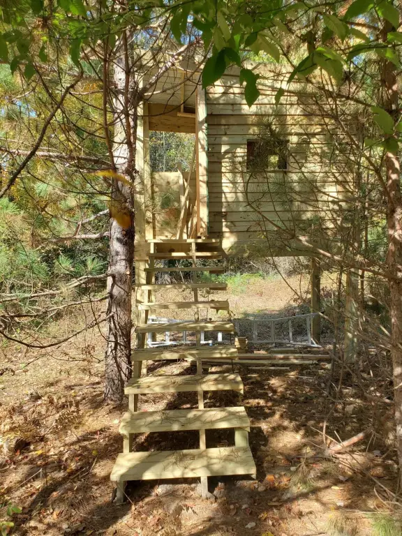 Picture 41