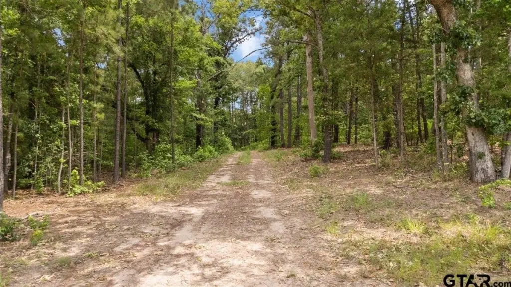 Picture 18
