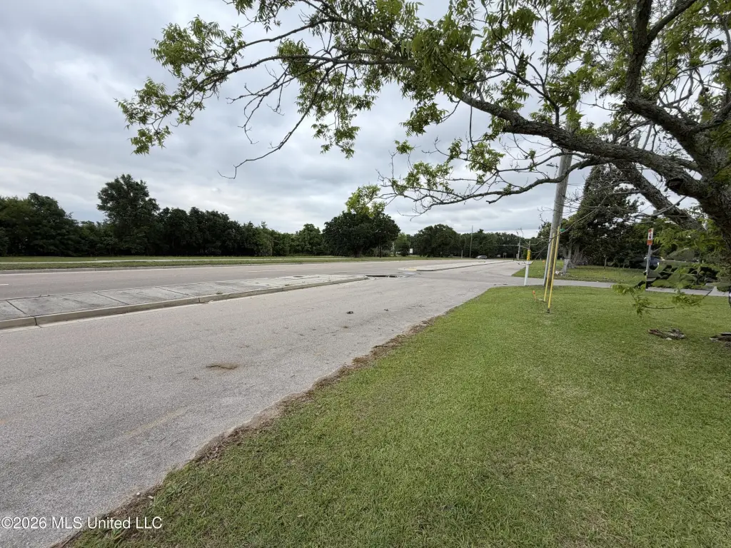 Picture 3