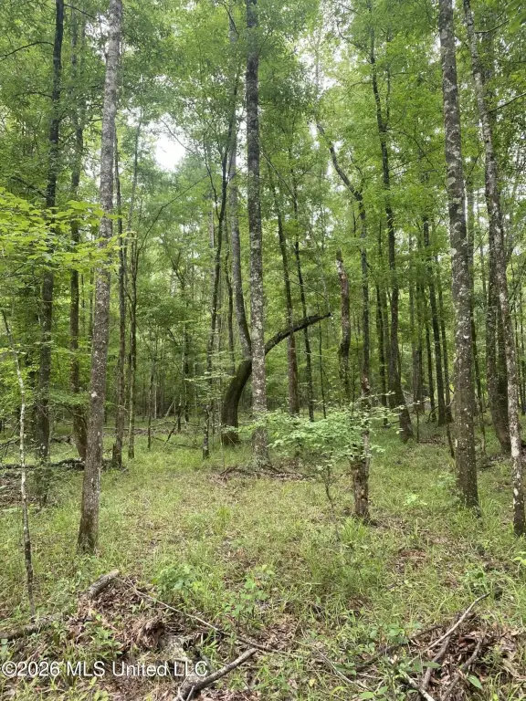 Picture 19