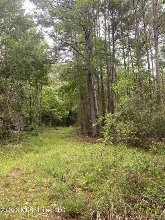 Picture 16