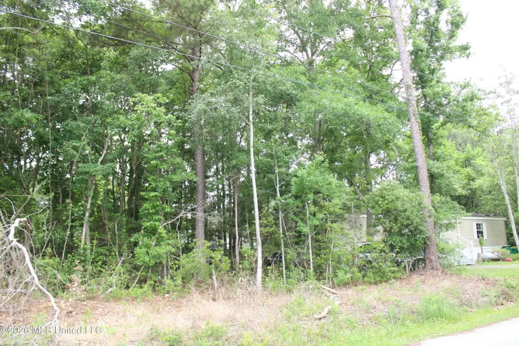 Picture 5
