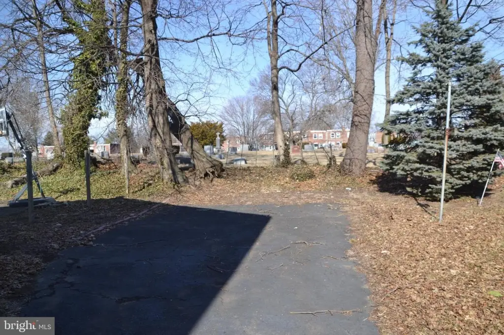 Picture 23