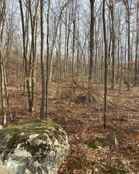 Middlebury Building Lot Opportunity