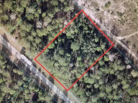 OCALA, FL - One Acre Lot