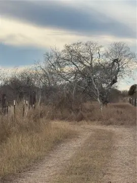 Residential Land in Taft, Texas