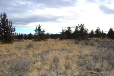 Scenic 5-Acre Parcel in Prineville