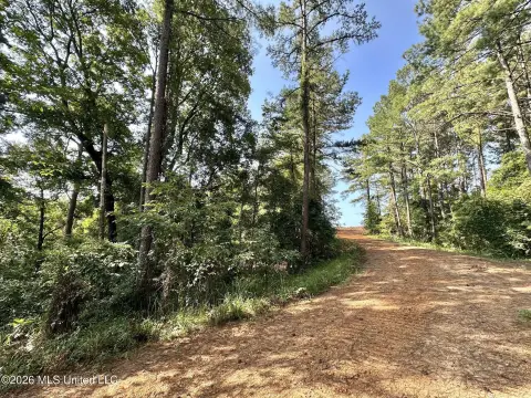 Hunting Land Tract with Private Gravel Road Easement