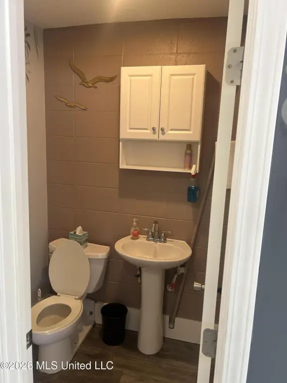 Picture 27