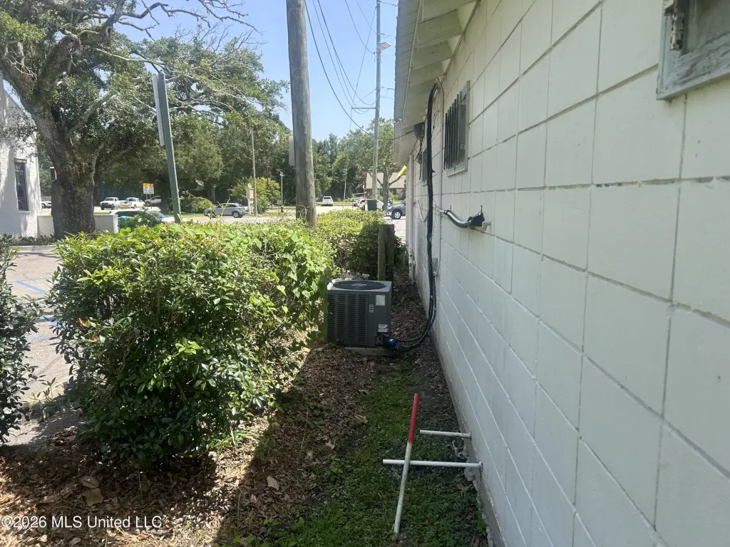 Picture 14