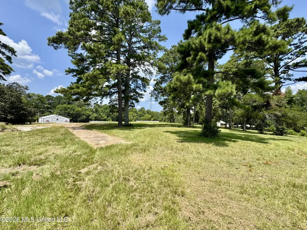 Picture 14