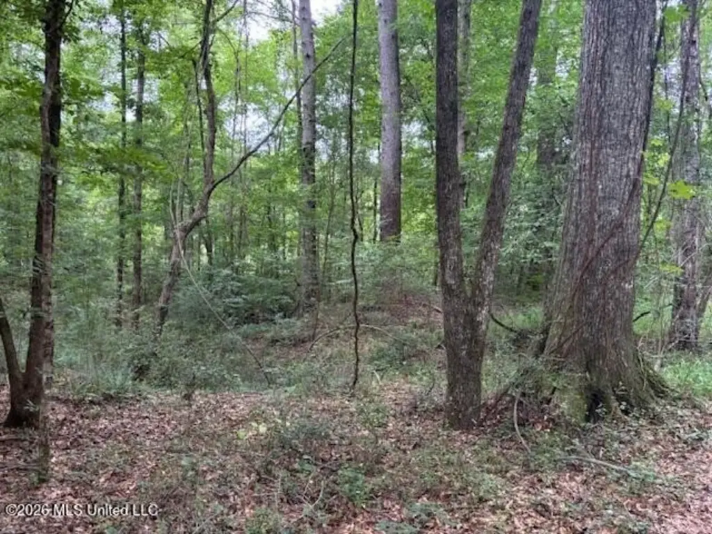 Picture 14