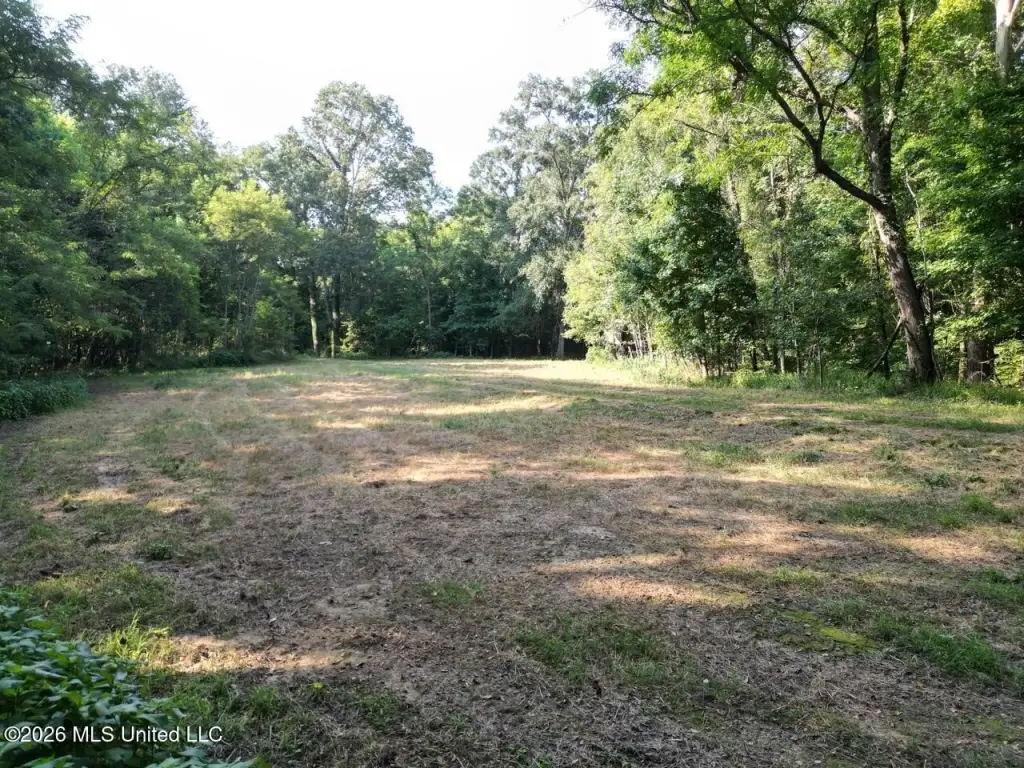 Picture 12
