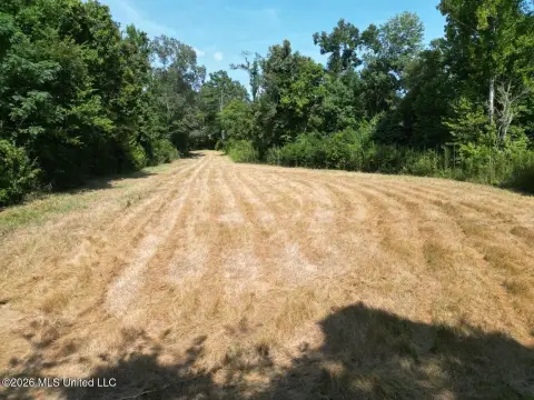 Hunting Land with Creek Frontage