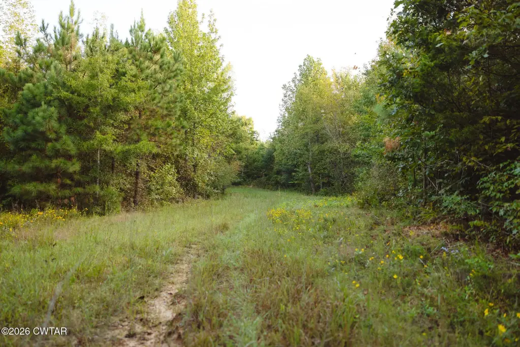 Picture 23