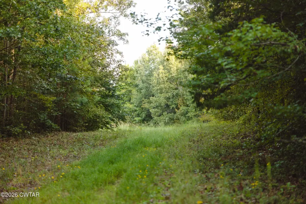 Picture 14