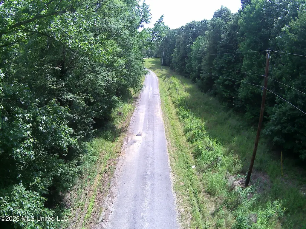 Picture 2