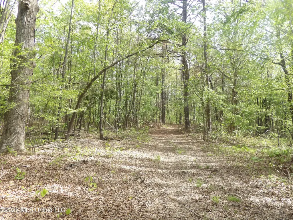 Picture 18