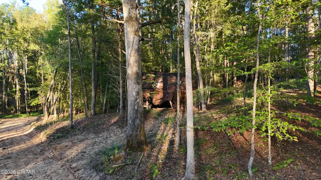 Picture 25