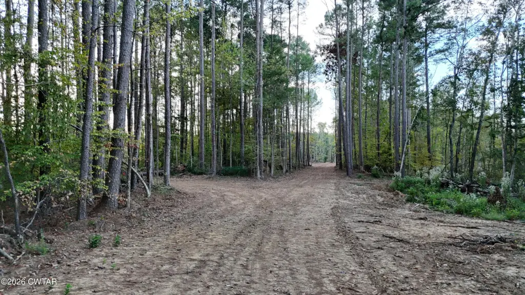 Picture 9