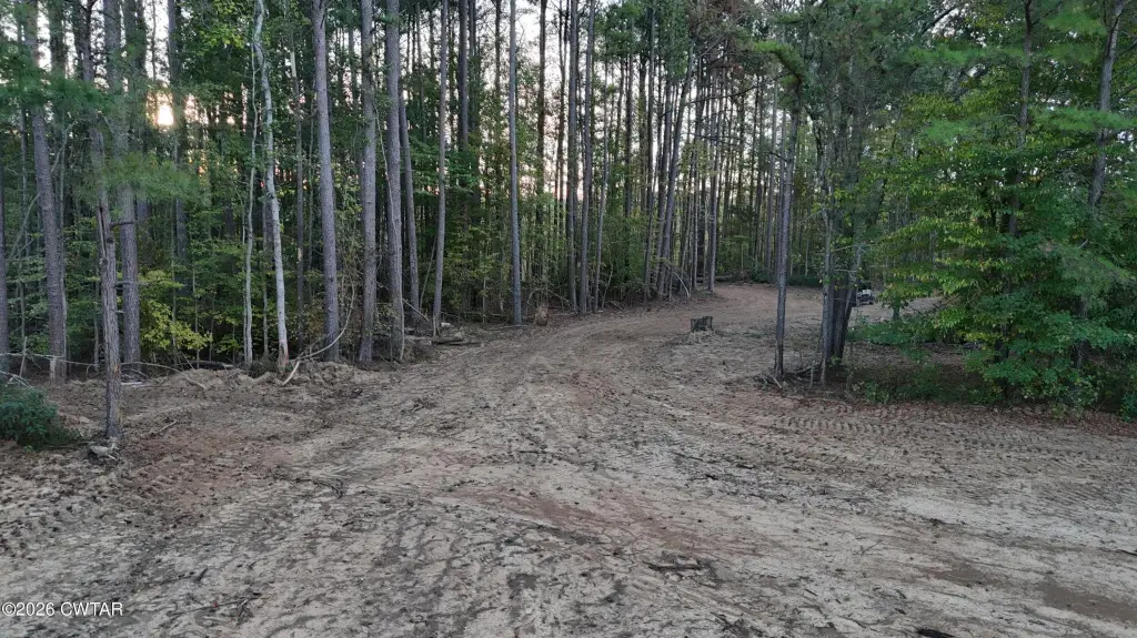 Picture 6