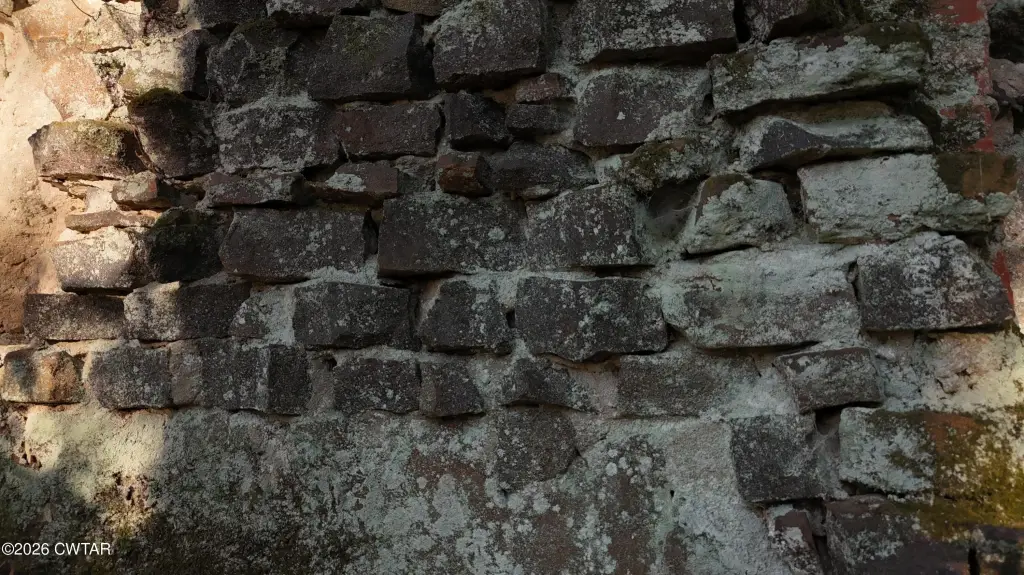 Picture 31