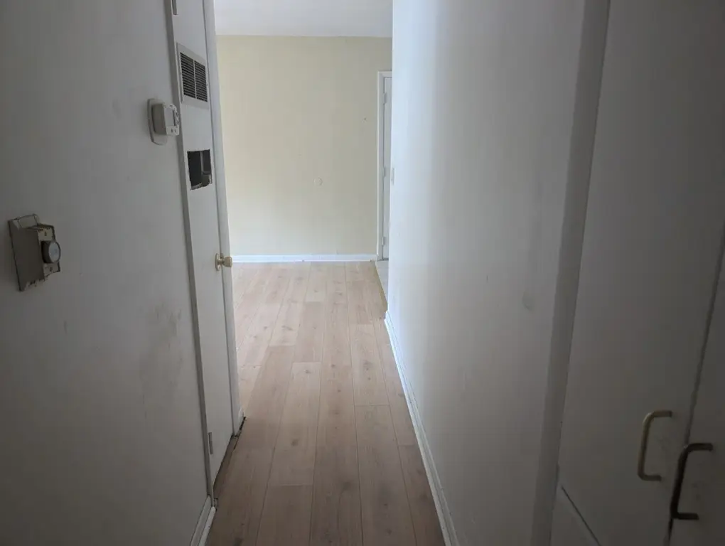 Picture 24