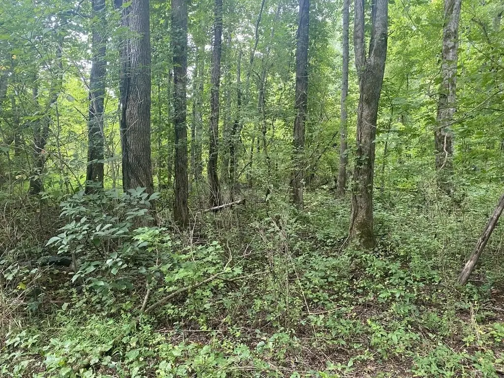 Picture 5