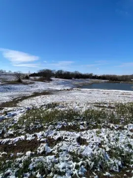 Residential Land in Grand Ridge
