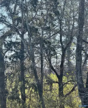 Land Available in Gurley, AL