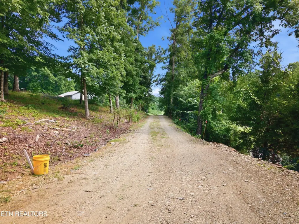 Picture 17