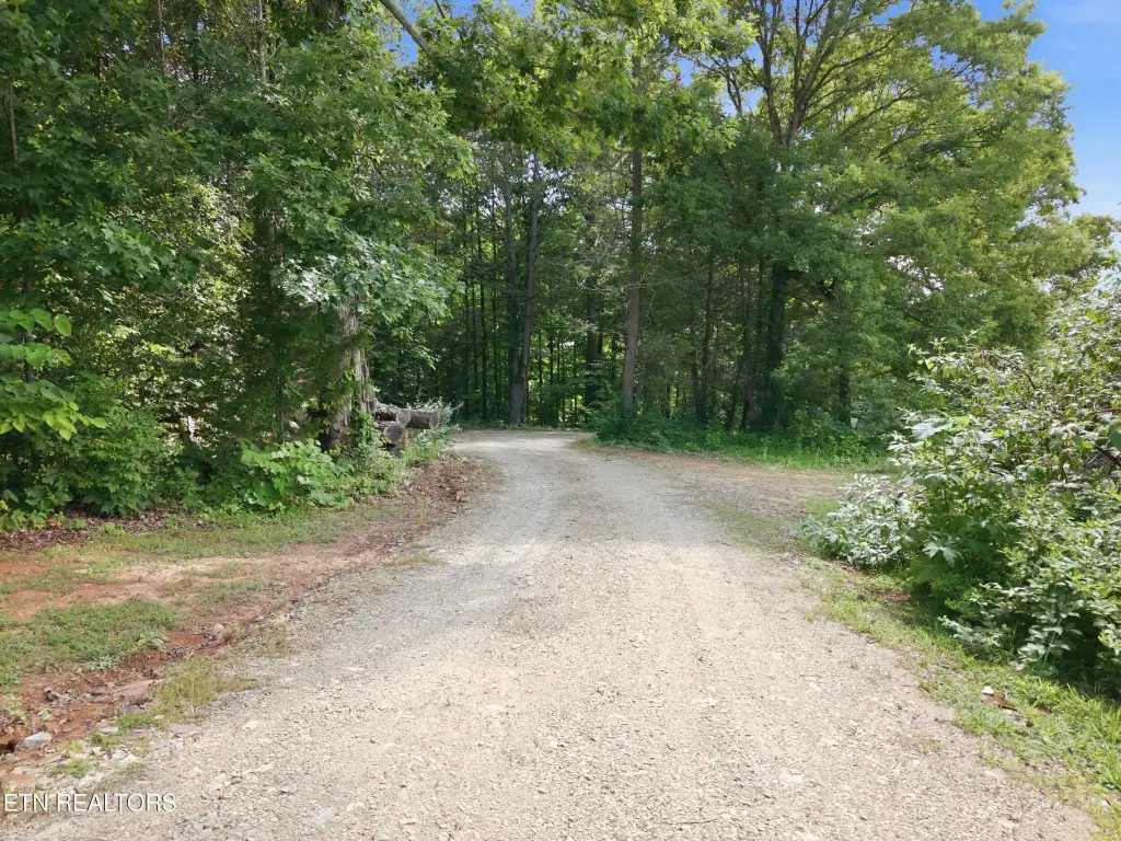 Picture 13