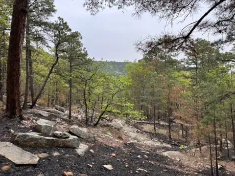 Moyers, OK Wooded Acreage