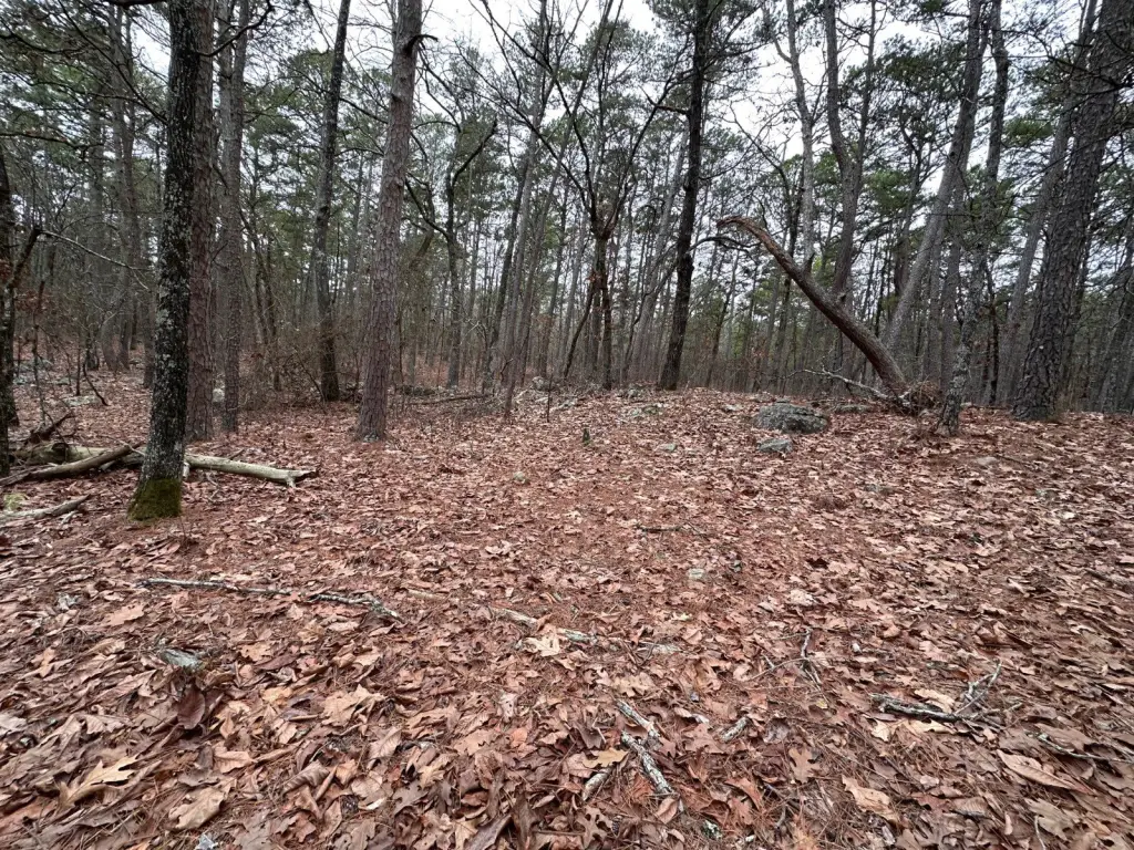 Picture 46