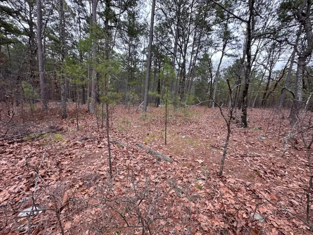 Picture 18