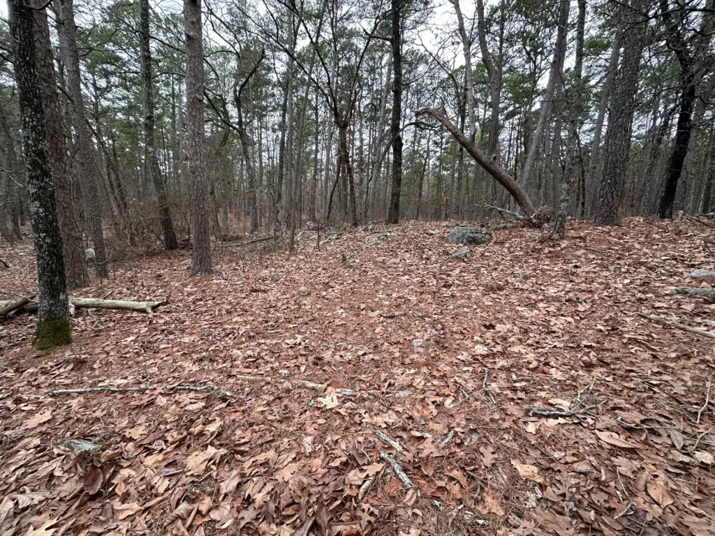 Picture 11