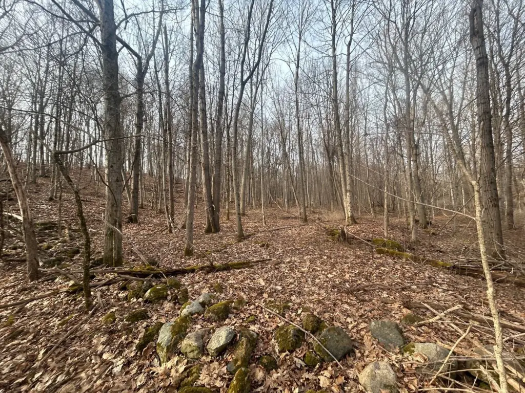 Picture 11