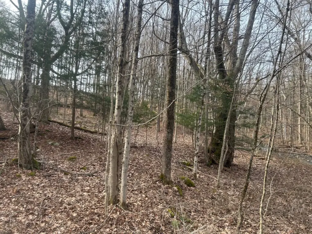 Picture 14