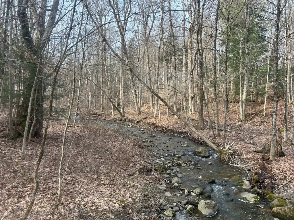 Picture 13
