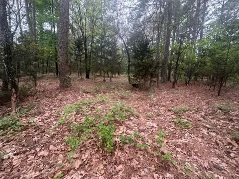 Moyers, OK Vacant Land