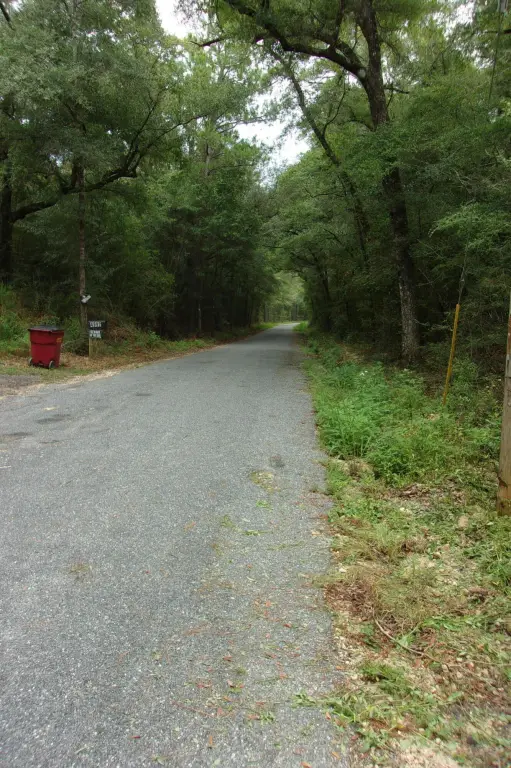 Picture 15